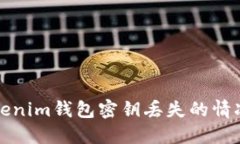 如何处理Tokenim钱包密钥丢