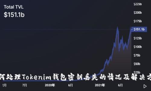 如何处理Tokenim钱包密钥丢失的情况及解决方案