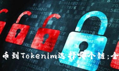 火币提币到Tokenim选择哪个链：全面解读
