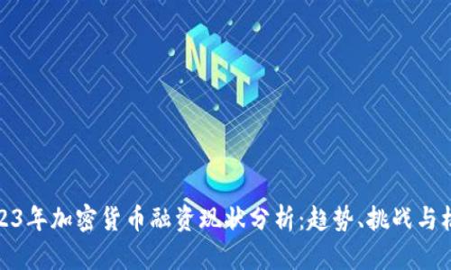 2023年加密货币融资现状分析：趋势、挑战与机遇