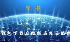 Tokenim钱包下载后数据丢失
