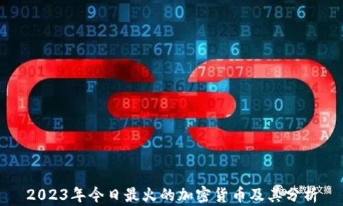 
2023年今日最火的加密货币及其分析