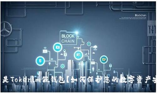 什么是Tokenim假钱包？如何保护您的数字资产安全？