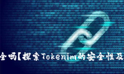 Tokenim安全吗？探索Tokenim的安全性及其法律风险