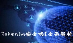 安卓上安装Tokenim安全吗？全面解析及风险评估