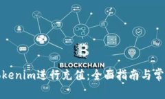 如何使用Tokenim进行充值：