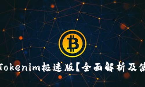 什么是Tokenim极速版？全面解析及使用指南