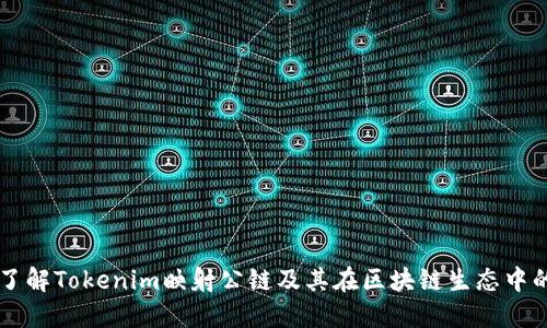 深入了解Tokenim映射公链及其在区块链生态中的应用