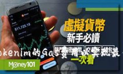 如何设置Tokenim的Gas费用以实现最佳交易体验