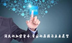 消失的加密货币：背后的原因与未来展望
