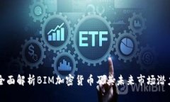 全面解析BIM加密货币及其未来市场潜力