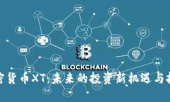 加密货币XT：未来的投资新机遇与挑战