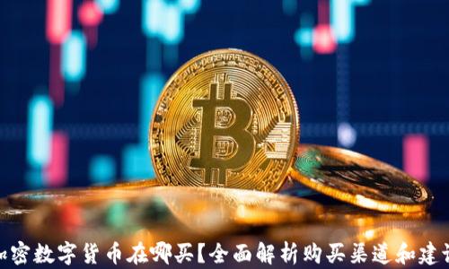 
加密数字货币在哪买？全面解析购买渠道和建议