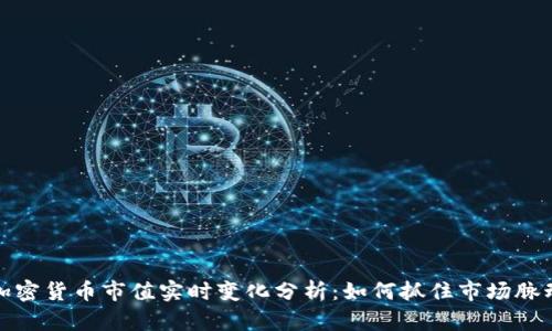 加密货币市值实时变化分析：如何抓住市场脉动