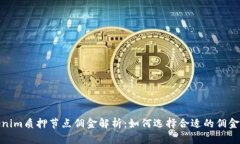 Tokenim质押节点佣金解析：
