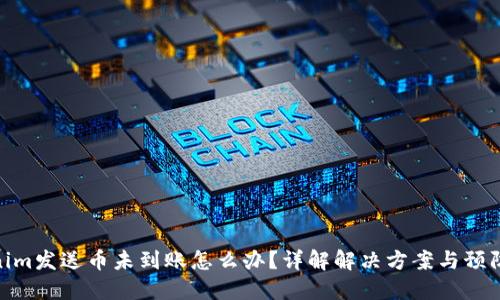 Tokenim发送币未到账怎么办？详解解决方案与预防措施