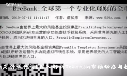 Tokenim是什么行情？深入解析Tokenim市场动态与投资机会