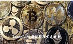 Tokenim公司架构及发展分析