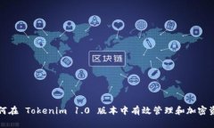 如何在 Tokenim 1.0 版本中有