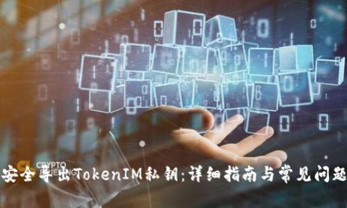 如何安全导出TokenIM私钥：详细指南与常见问题解答